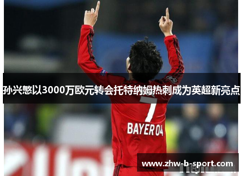 孙兴慜以3000万欧元转会托特纳姆热刺成为英超新亮点